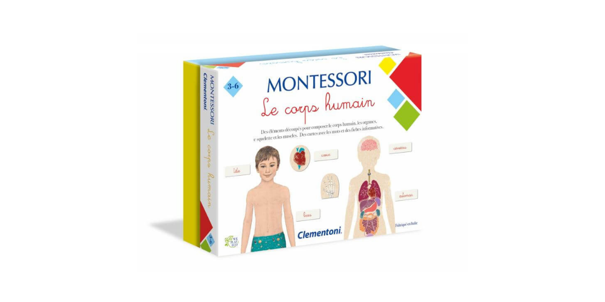 Le-corps-humain-Montessori-Clementoni